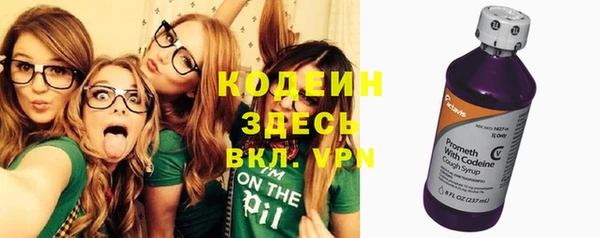 индика Беломорск