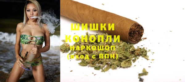 индика Беломорск