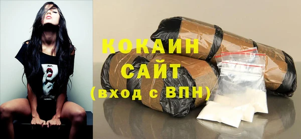 индика Беломорск