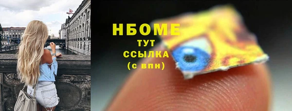 индика Беломорск