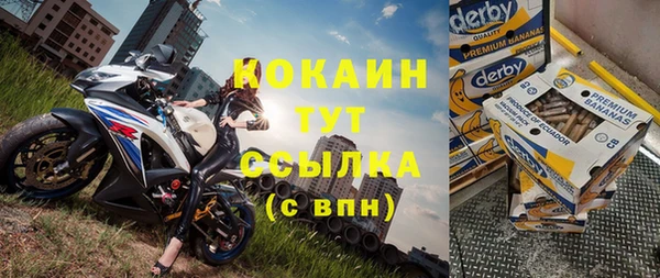 индика Беломорск