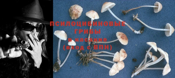 индика Беломорск