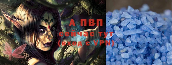 индика Беломорск