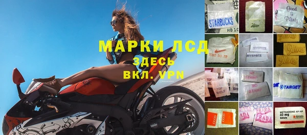 индика Беломорск