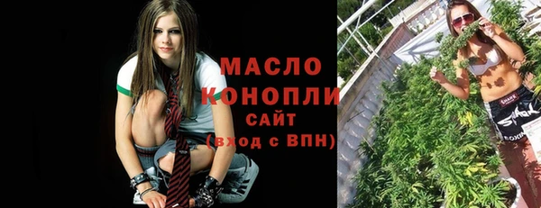 индика Беломорск
