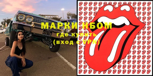 индика Беломорск