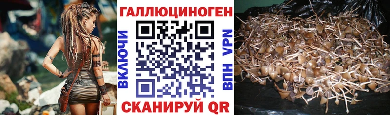 Галлюциногенные грибы MAGIC MUSHROOMS  магазин    Острогожск 